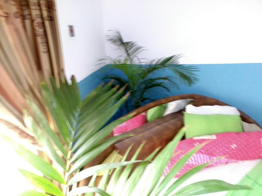 Janman Elizz Guest House מראה חיצוני תמונה